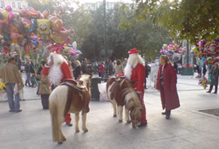 dsc00729.jpg