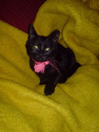 dsc00774_a.jpg
