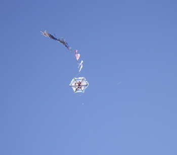 kite1.jpg