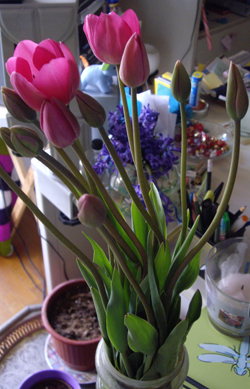 tulips.jpg