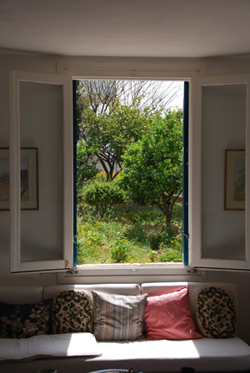 window.jpg