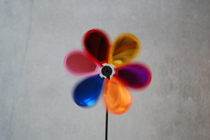 flower.jpg