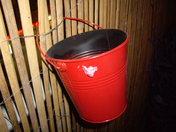 bucket.jpg