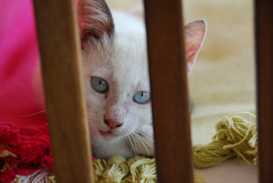 dsc_0359.jpg