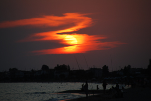 dsc_0482.jpg