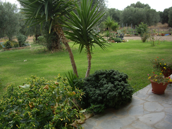 imgp7963.jpg