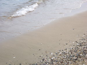 imgp8111.jpg