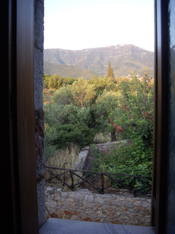 the-view.jpg