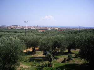 view.jpg