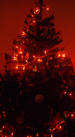 x-mas-tree.jpg