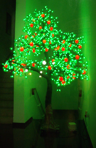 light-tree